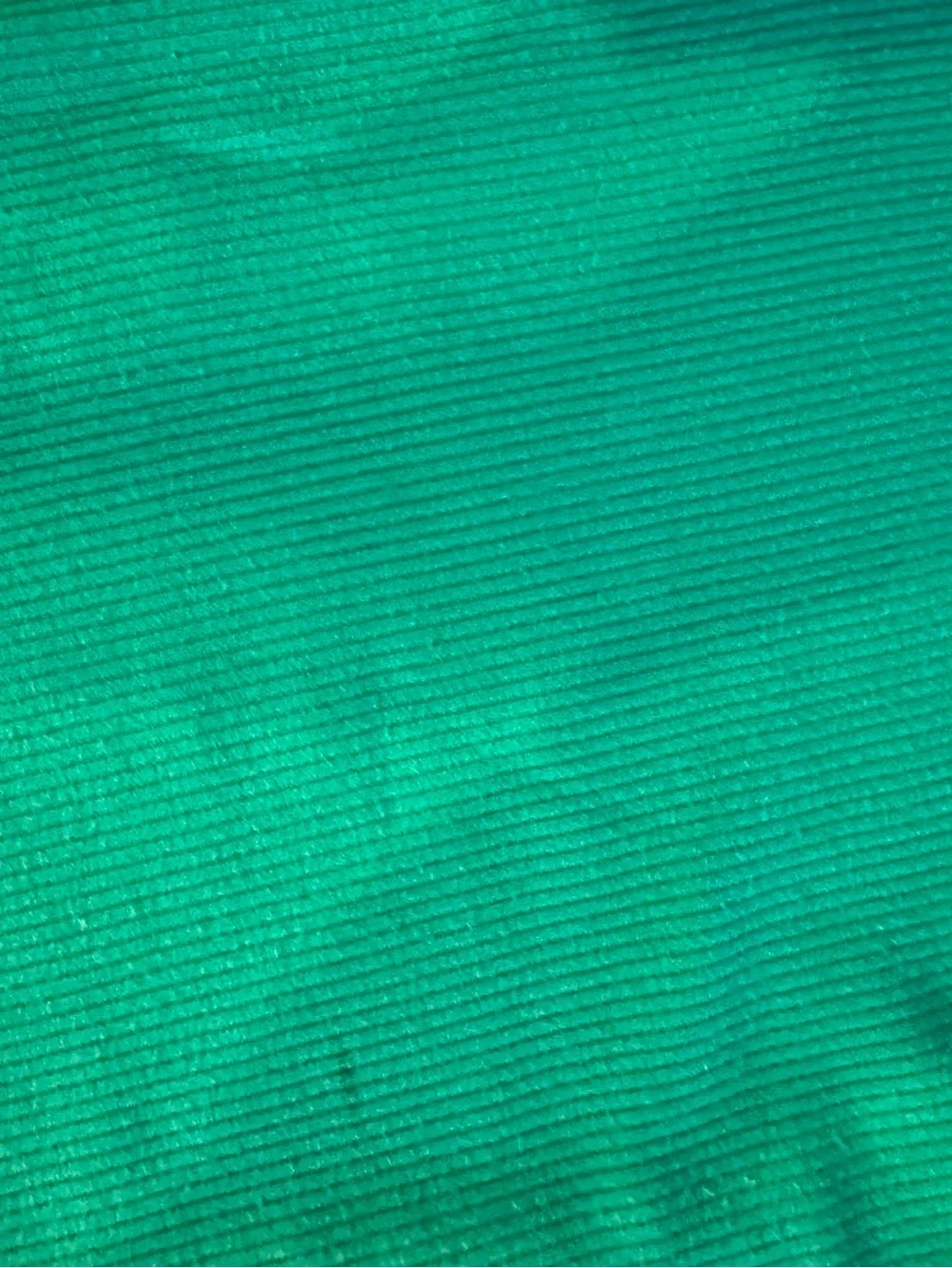 White Fox Boutique Green Ribbed Biker Shorts